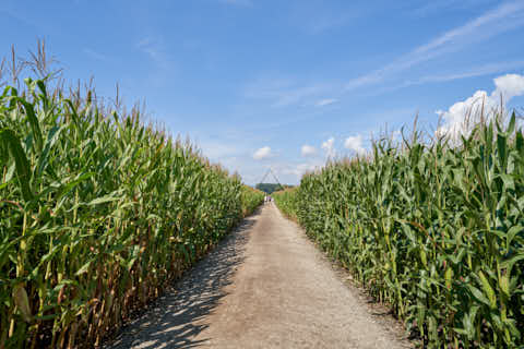 Gemeinde Atting Landkreis Straubing-Bogen Irrgarten Straubing (Dirschl Johann) Deutschland SR